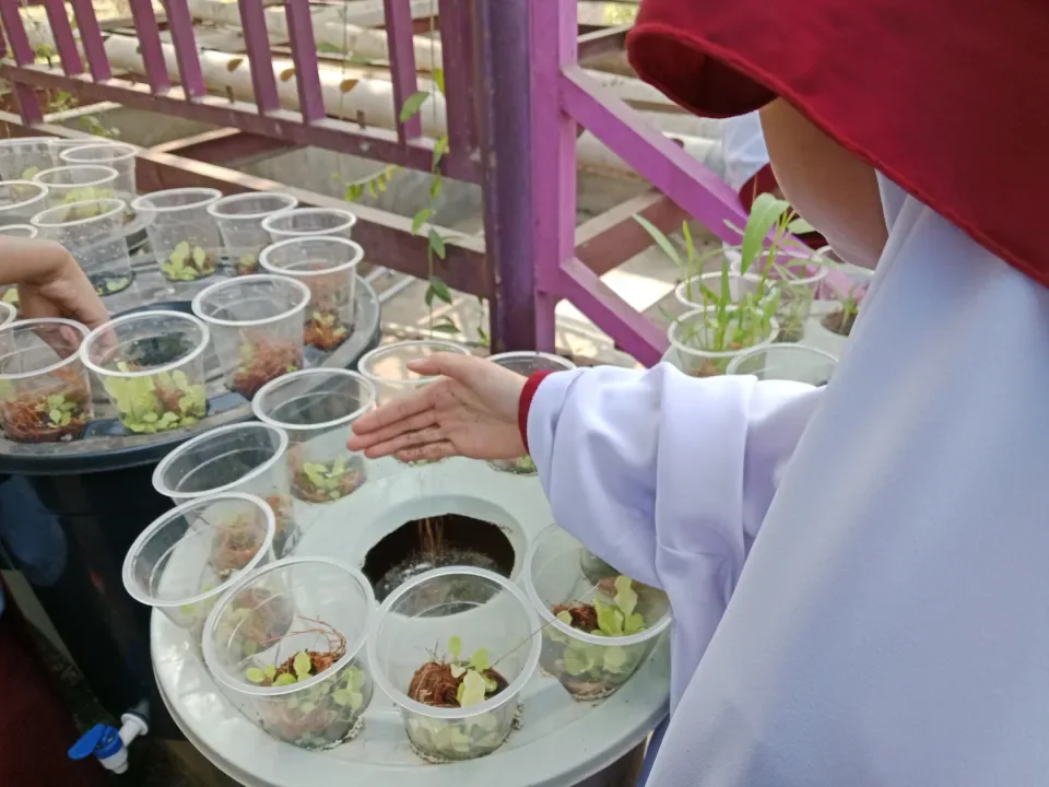 Belajar Berkebun dan BUDIDAMBER di RUBEL An-Nakhil